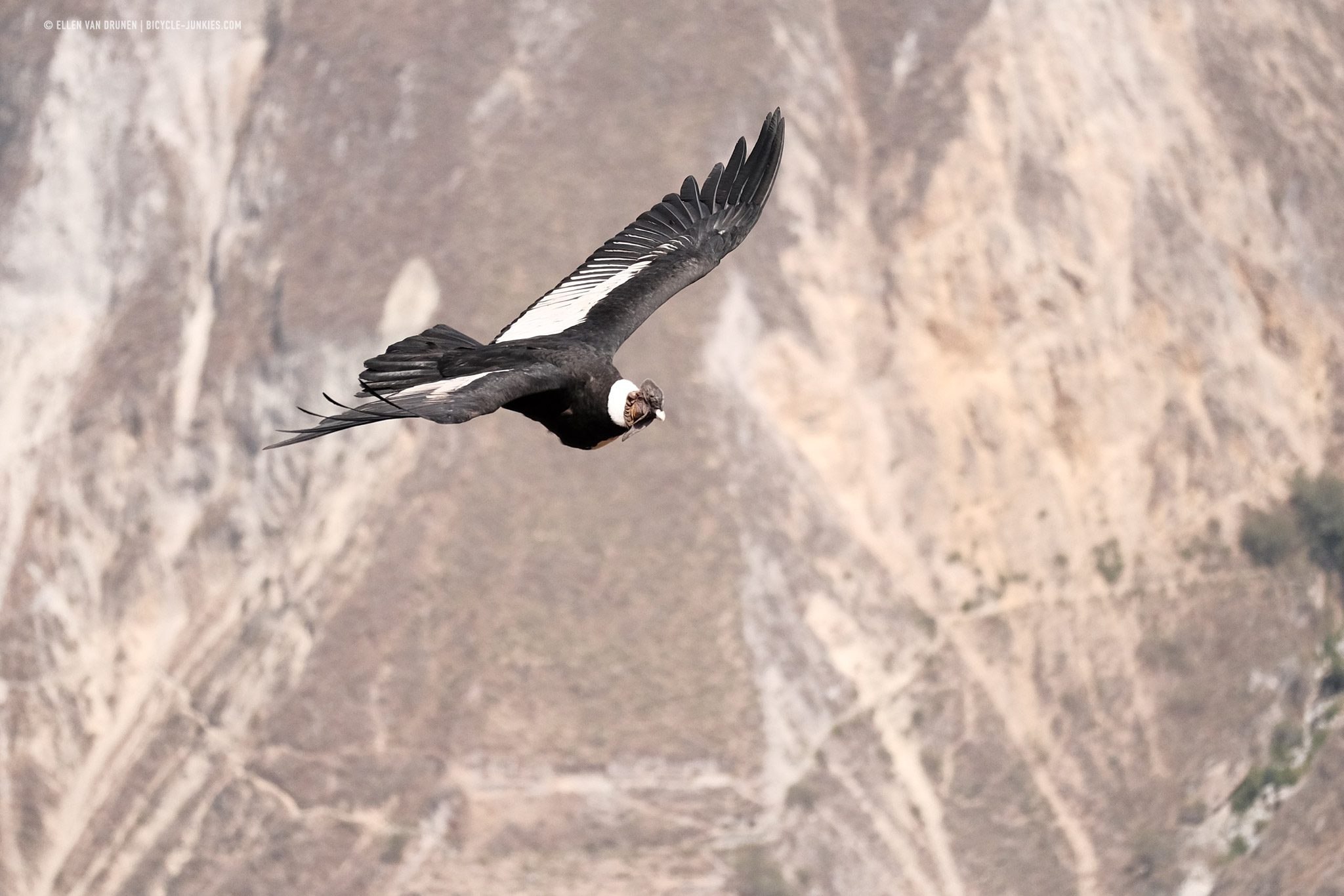 Cruz del Condor