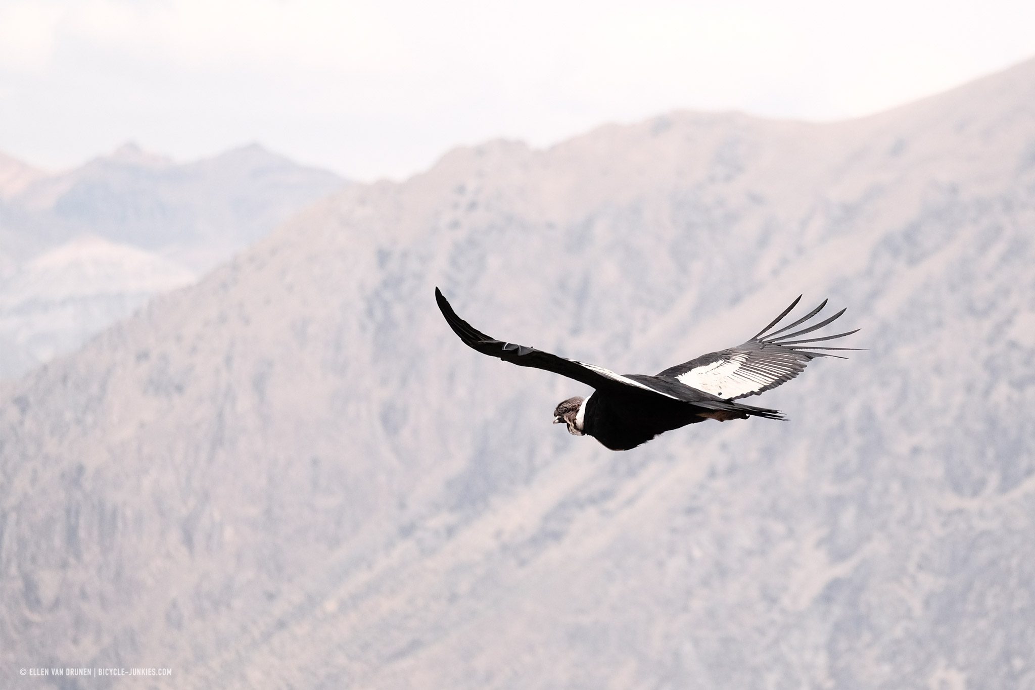 Cruz del Condor