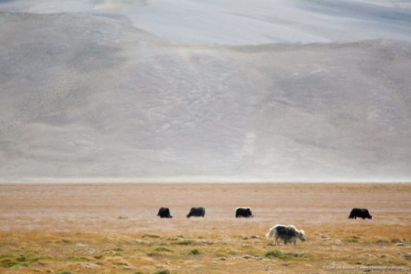 Cycling the Pamir Highway in Tajikistan